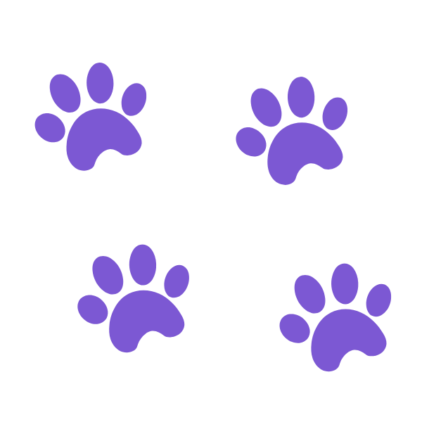 Paw Prints